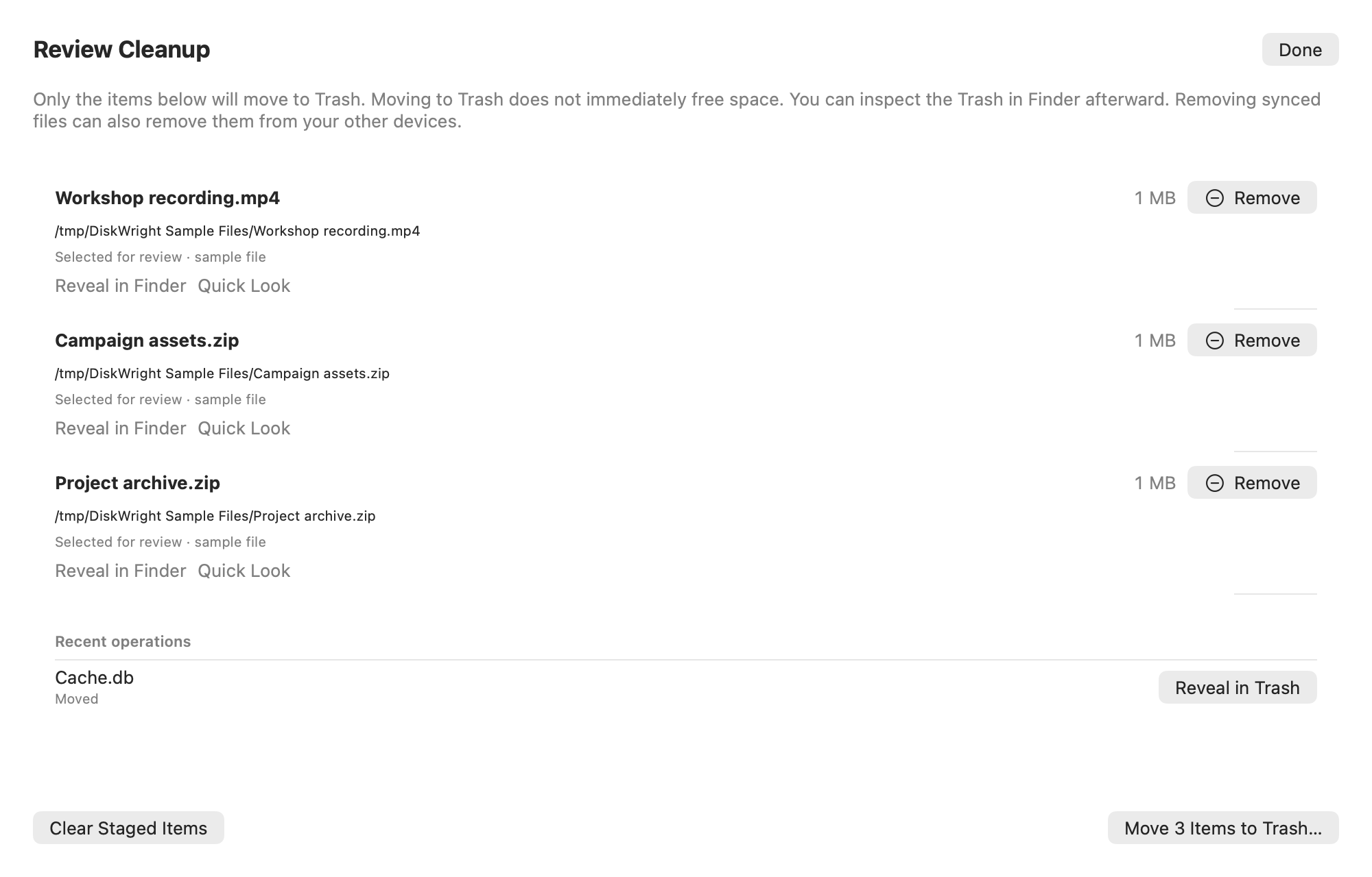 DiskWright Review Queue showing staged sample files and a Move to Trash confirmation